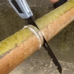 GIF 2.gif