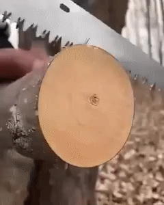 GIF 4.gif